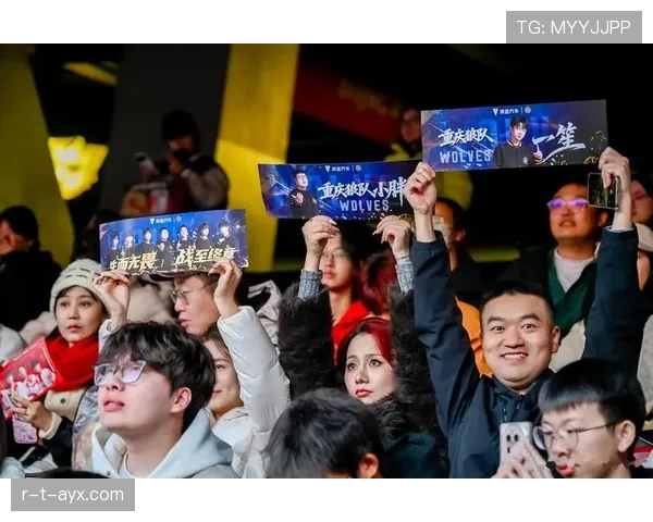 狼队战术革新:灵活布局与默契配合助推赛季表现持续攀升 狼队战术革新:灵活布局与默契配合助推赛季表现持续攀升