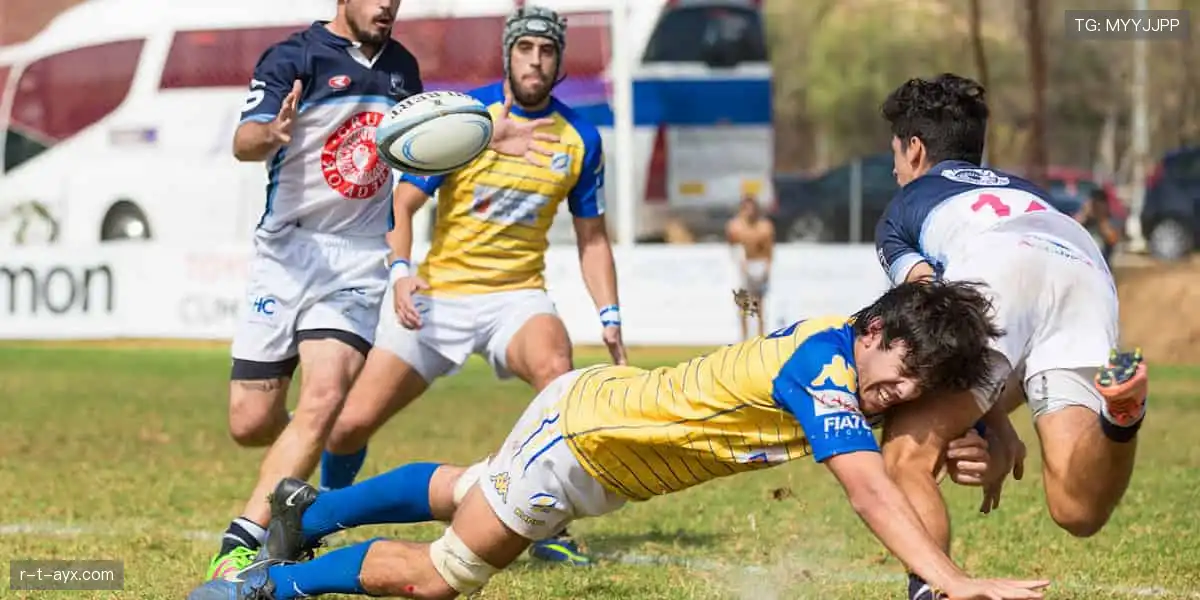 🚴 运动不止,探索无限可能,从一双专业跑鞋开始!👟